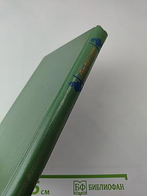 Похитители бриллиантов