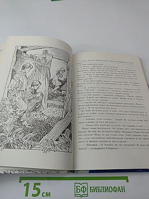 Огонь железного «Турбана»