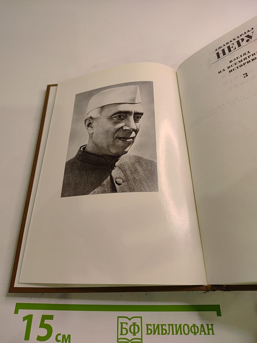 Взгляд на всемирную историю. Том 3