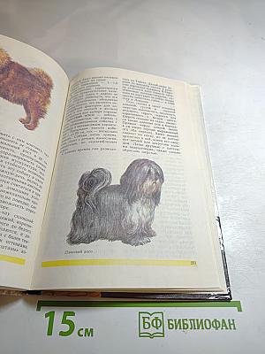 Друзья нашего дома