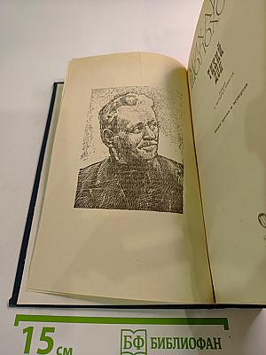 Тихий Дон. Книги третья и четвертая