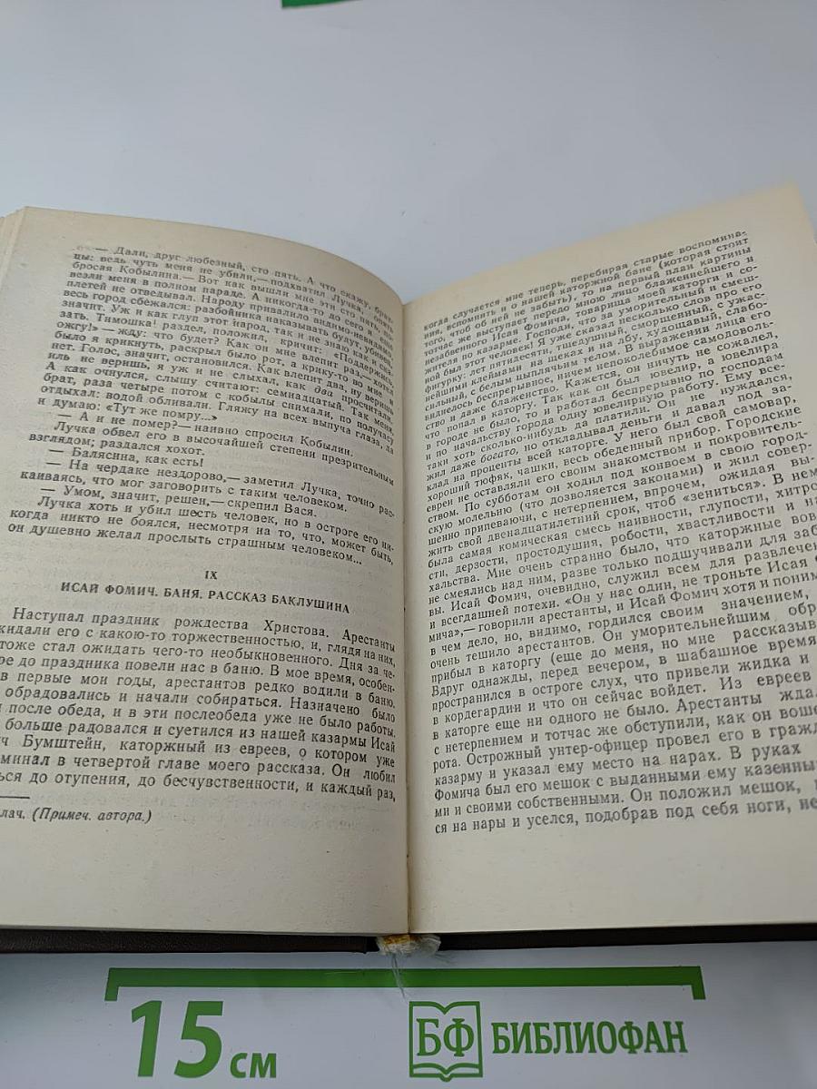 Записки из Мертвого Дома. Рассказы