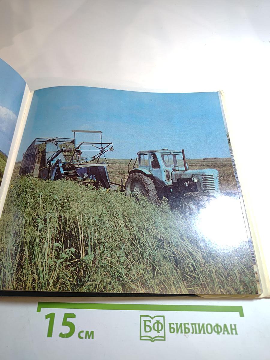 Ленинградская область