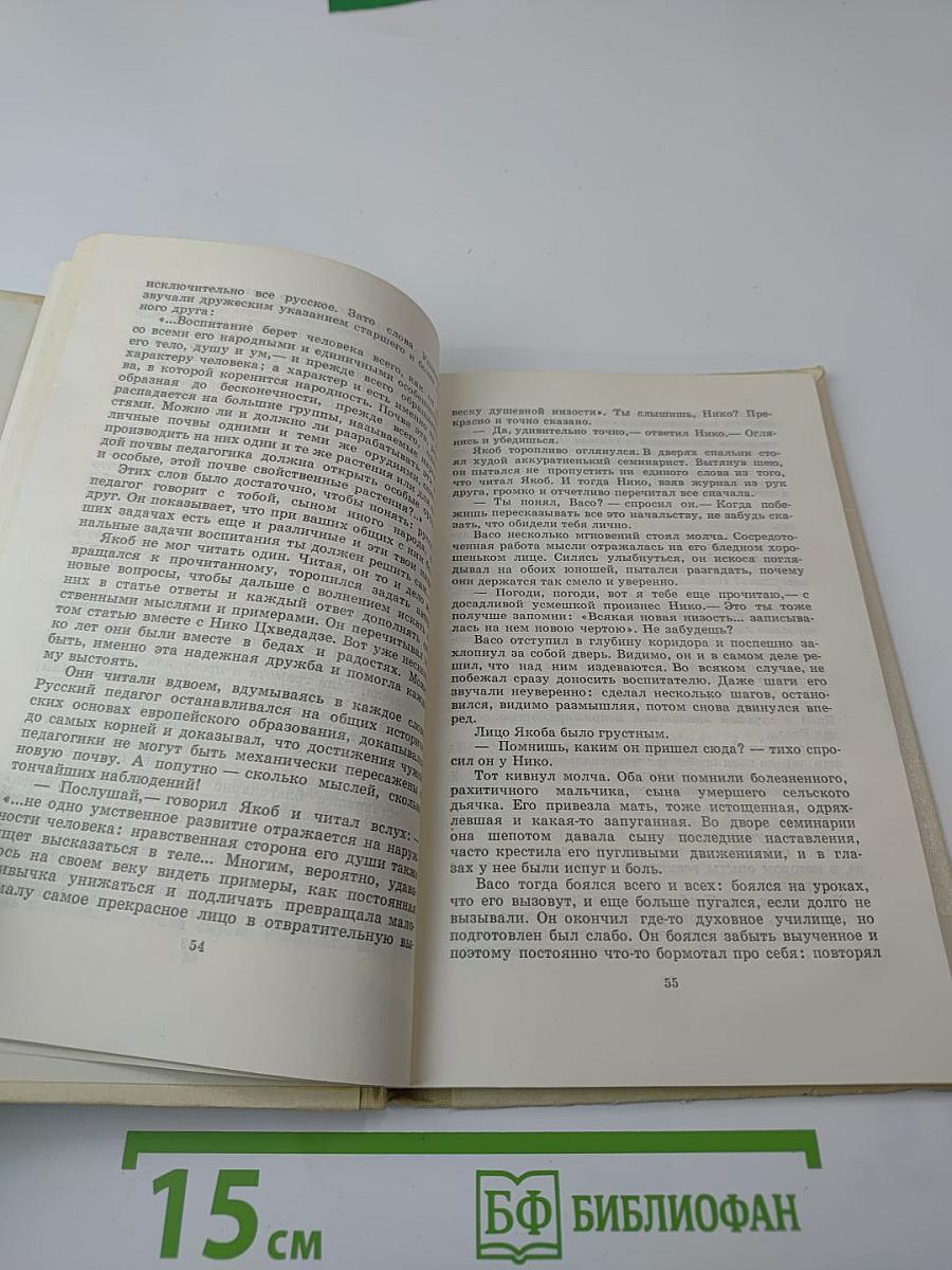 Рядом с будущим. Повесть о Якобе Гогебашвили