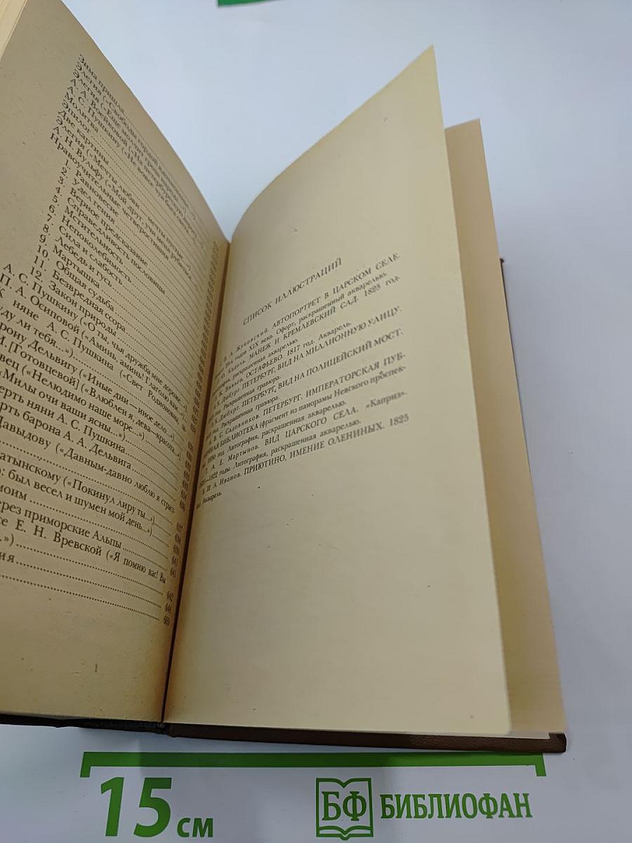 Поэты пушкинского круга