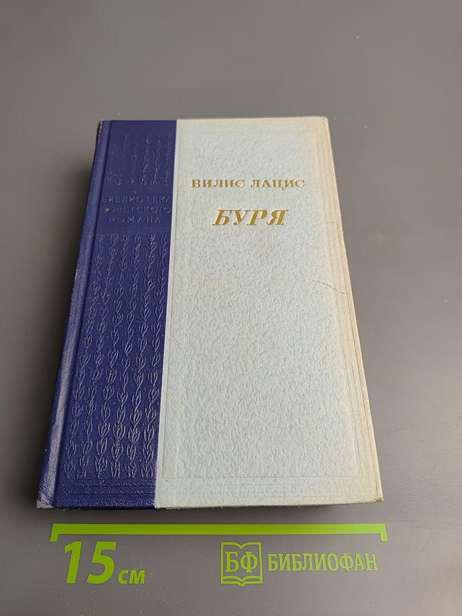 Буря. Книга третья, Книга четвертая