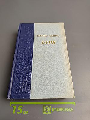 Буря. Книга третья, Книга четвертая