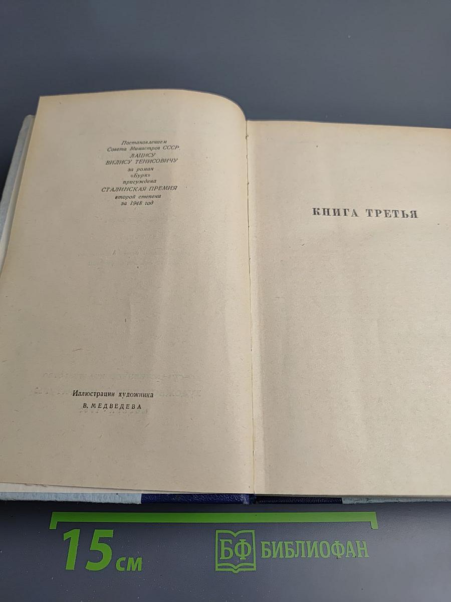 Буря. Книга третья, Книга четвертая