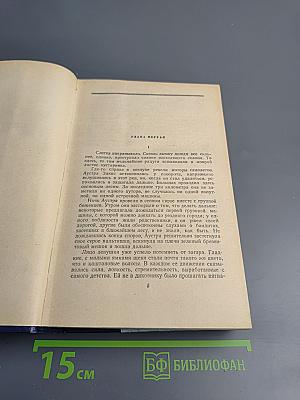 Буря. Книга третья, Книга четвертая