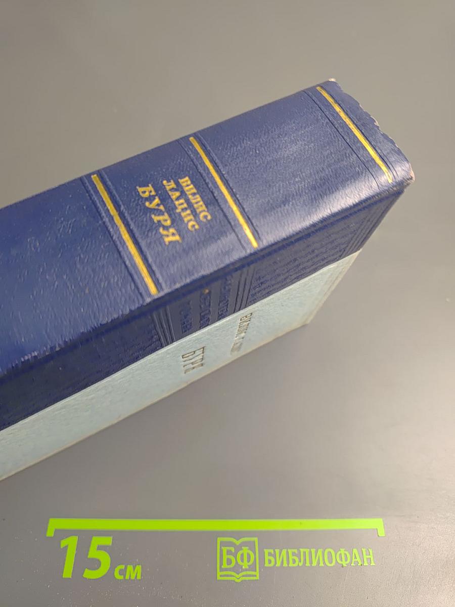 Буря. Книга третья, Книга четвертая