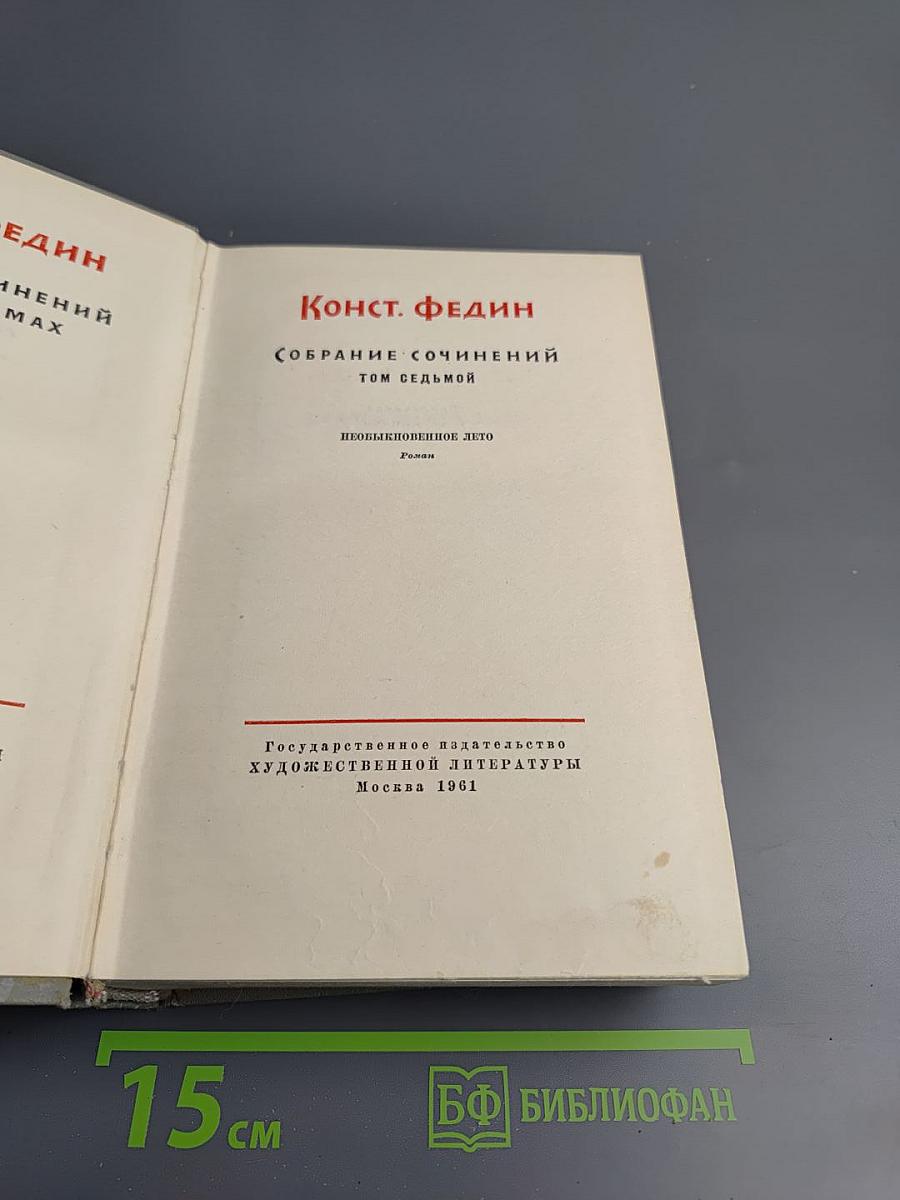 Необыкновенное лето