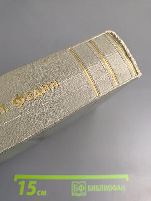 Необыкновенное лето