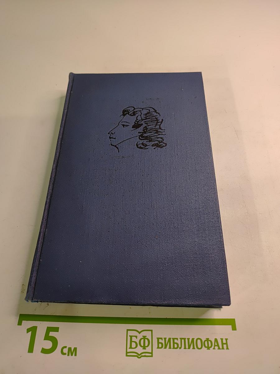 Собрание сочинений в десяти томах. Том VIII. История Петра. Подготовительные тексты