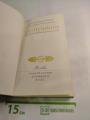 Собрание сочинений в десяти томах. Том VIII. История Петра. Подготовительные тексты
