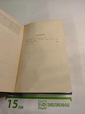 Собрание сочинений в десяти томах. Том VIII. История Петра. Подготовительные тексты