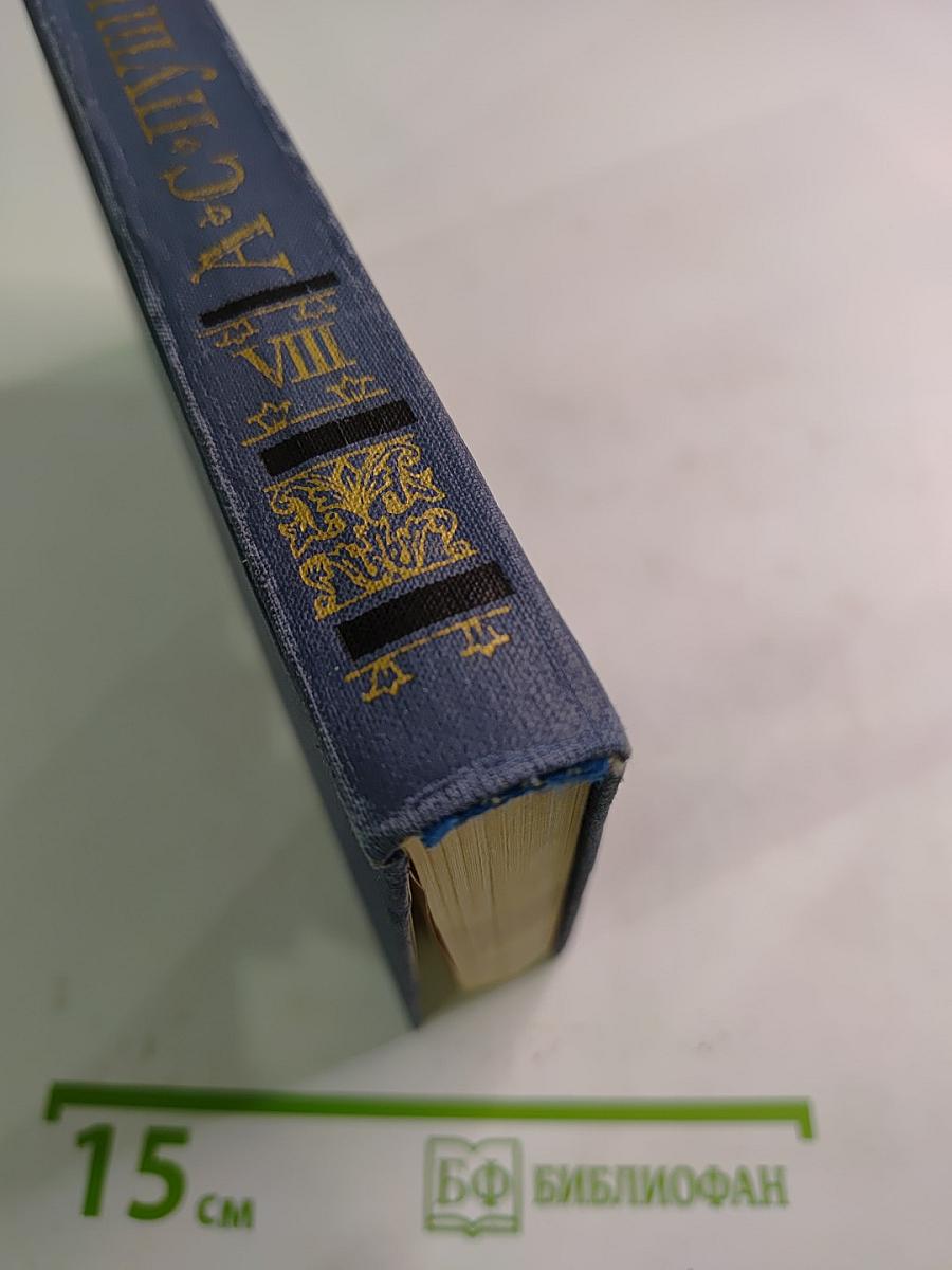 Собрание сочинений в десяти томах. Том VIII. История Петра. Подготовительные тексты