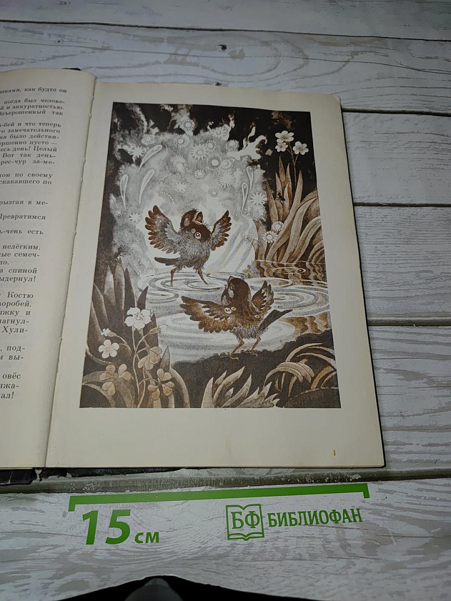 Фантазии баранкина