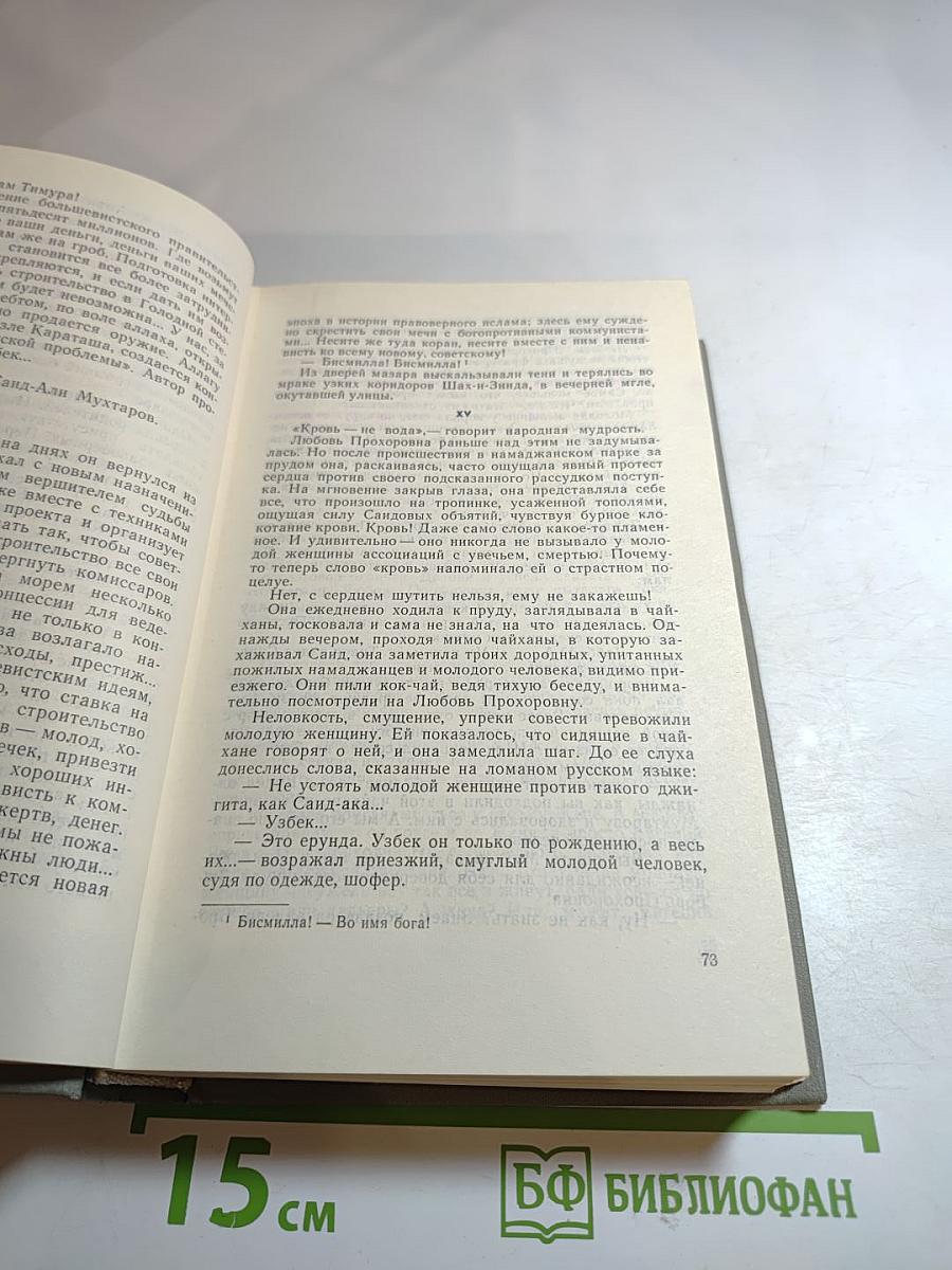 Роман Межгорья