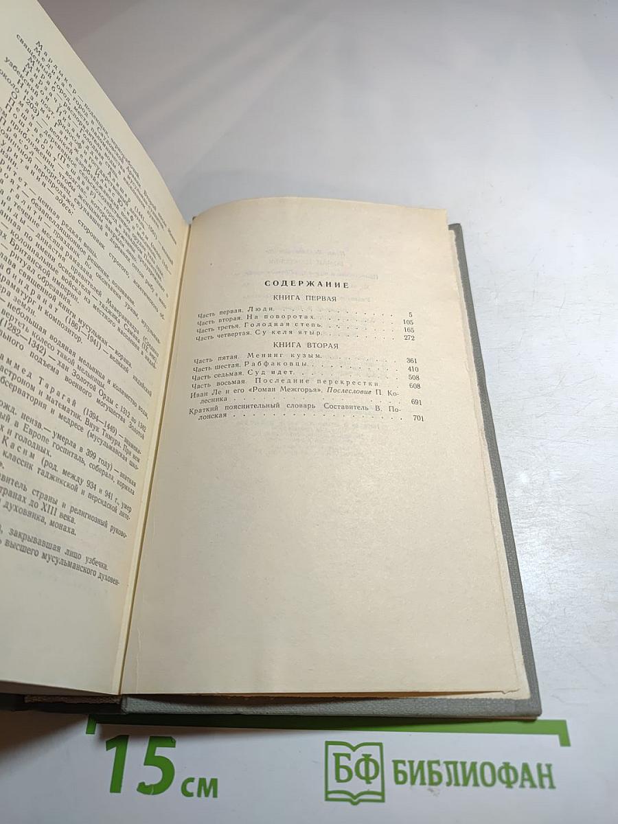 Роман Межгорья