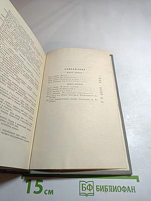 Роман Межгорья