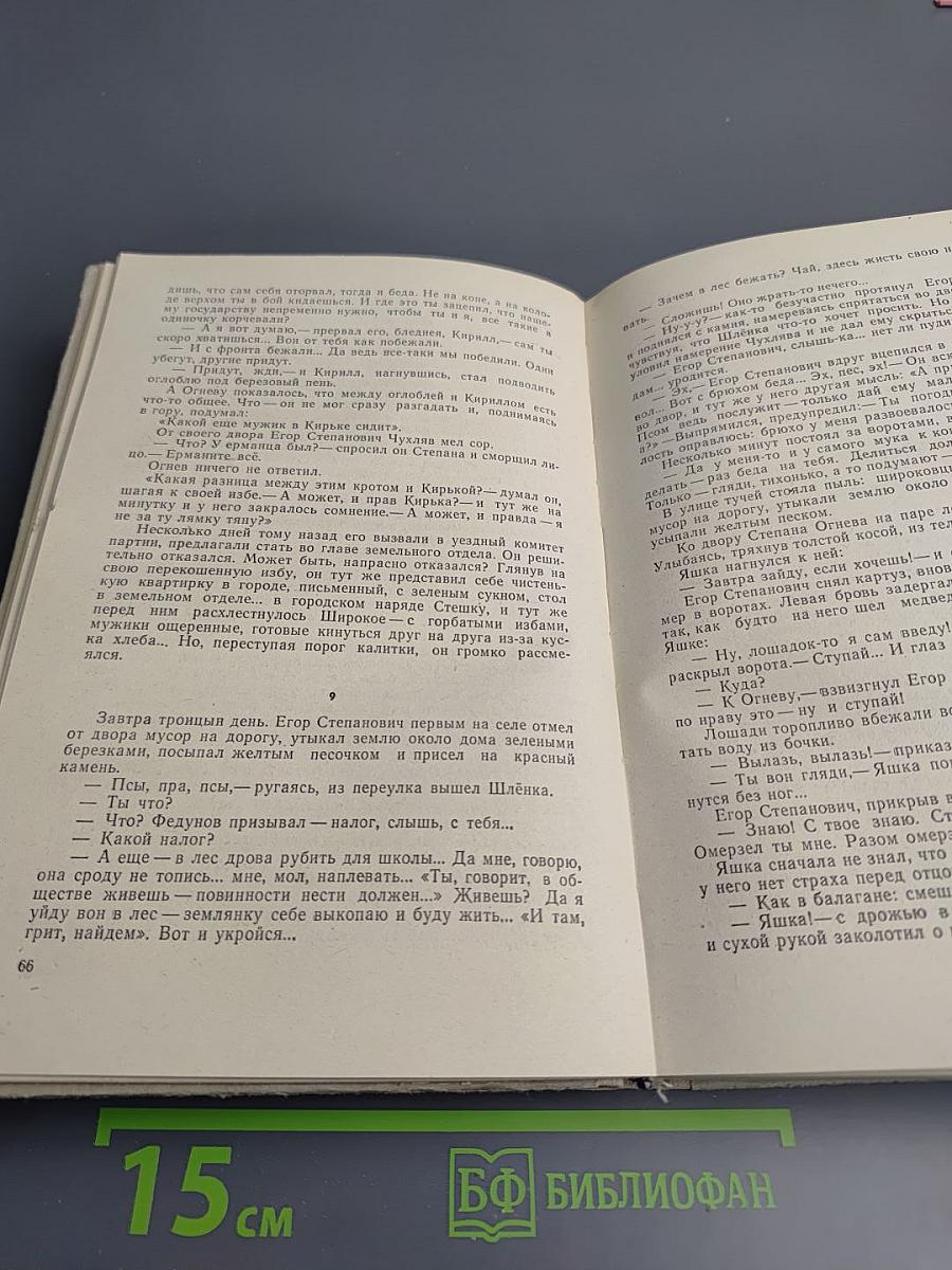 Бруски. Роман в четырех книгах. Книги первая и вторая