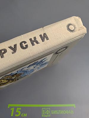 Бруски. Роман в четырех книгах. Книги первая и вторая