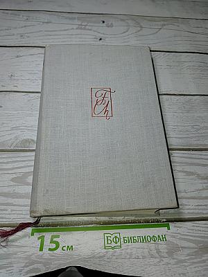 Фридерик Шопен: очерк жизни и творчества