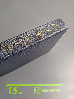 Секретный узник. Проснись в Фамагусте. Том 2