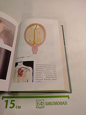 Большая медицинская энциклопедия. Том 4: Гид-Дел