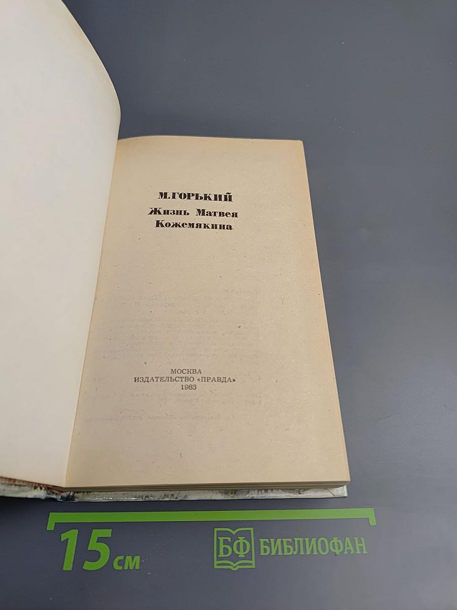 Жизнь Матвея Кожемякина