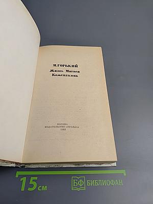 Жизнь Матвея Кожемякина