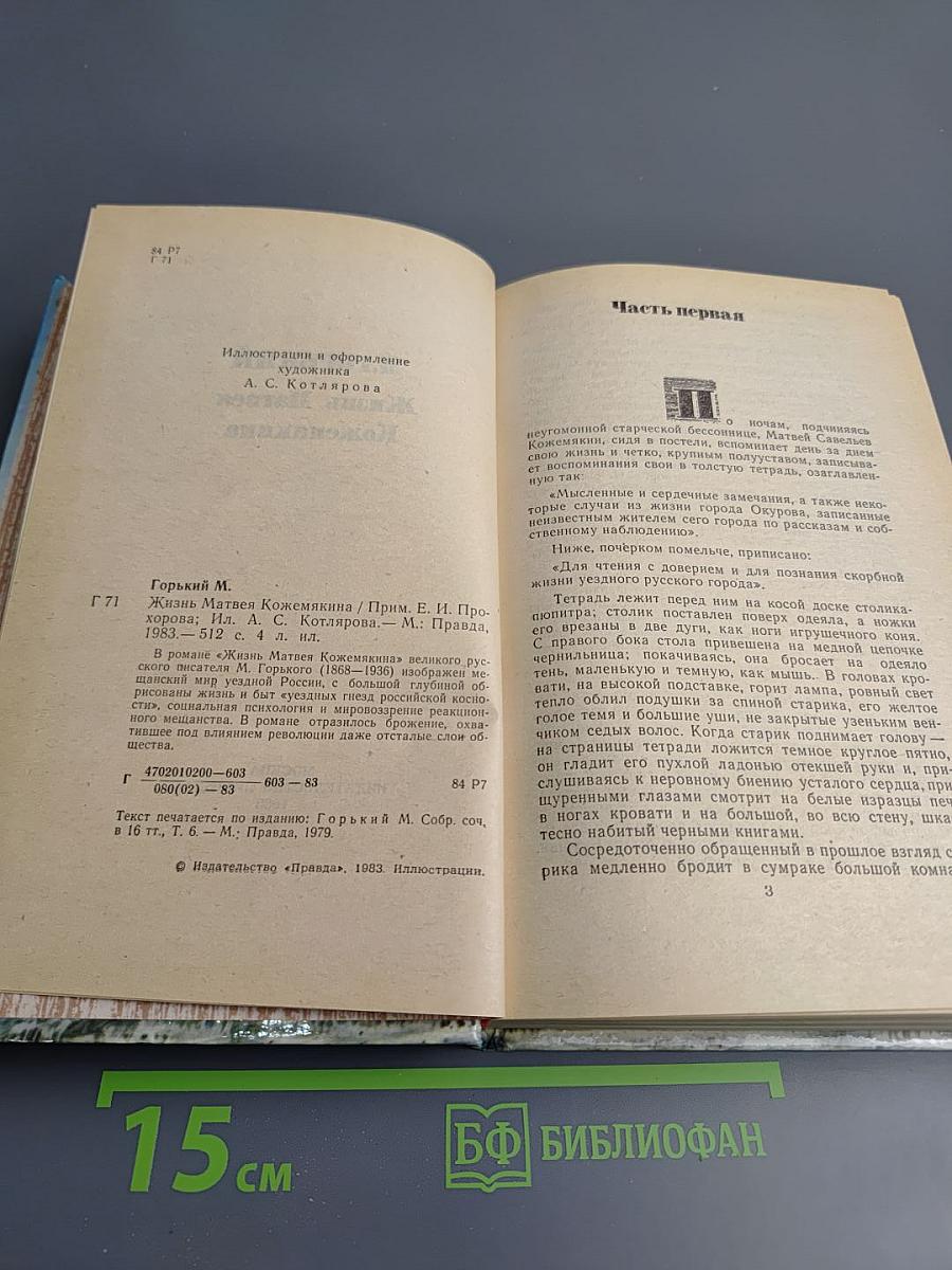 Жизнь Матвея Кожемякина