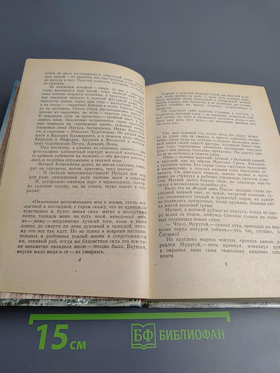 Жизнь Матвея Кожемякина