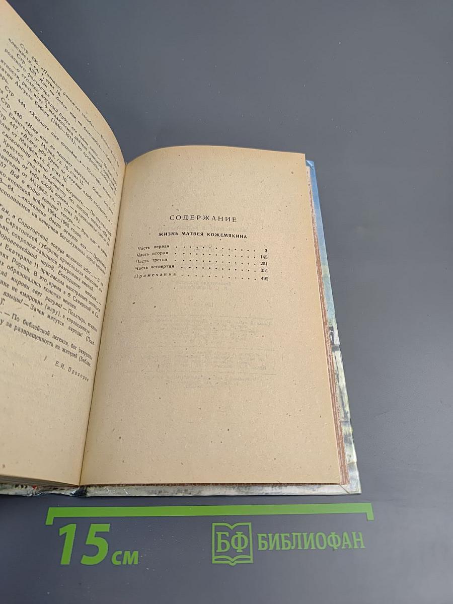 Жизнь Матвея Кожемякина