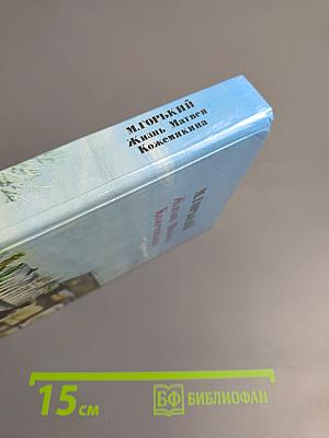 Жизнь Матвея Кожемякина