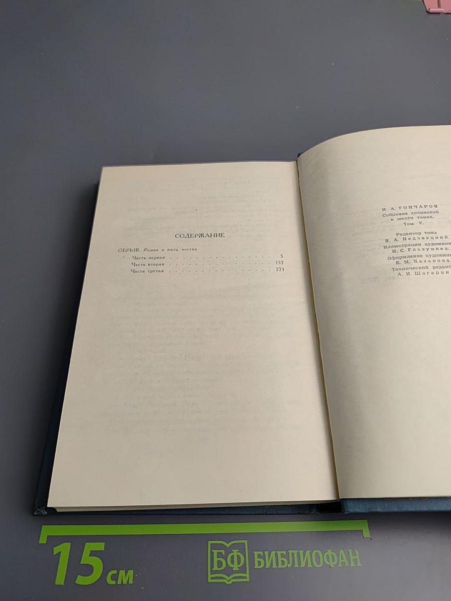 Обрыв. Том 5