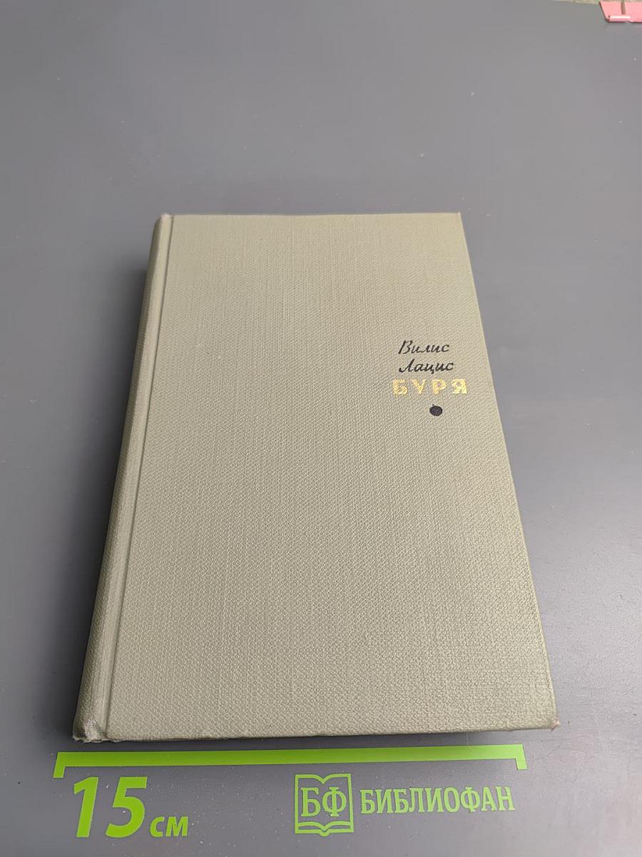 Буря. Том второй