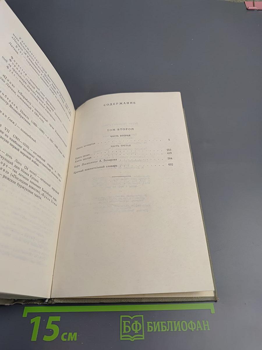 Буря. Том второй