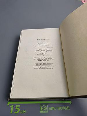 Буря. Том второй