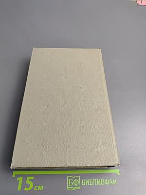 Буря. Том второй