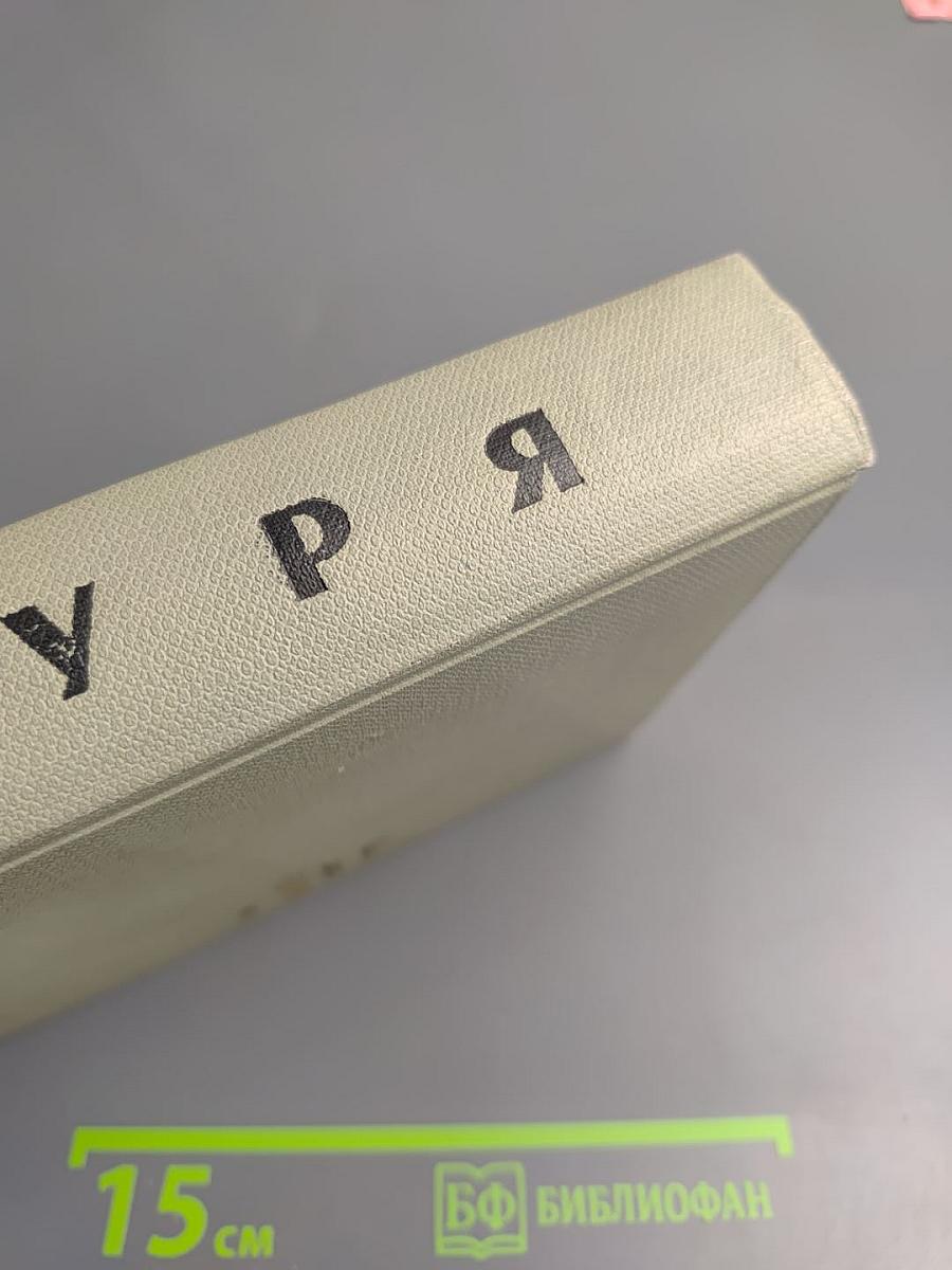 Буря. Том второй