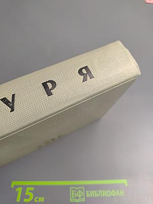 Буря. Том второй