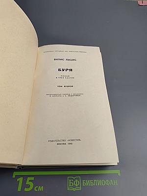 Буря. Том второй