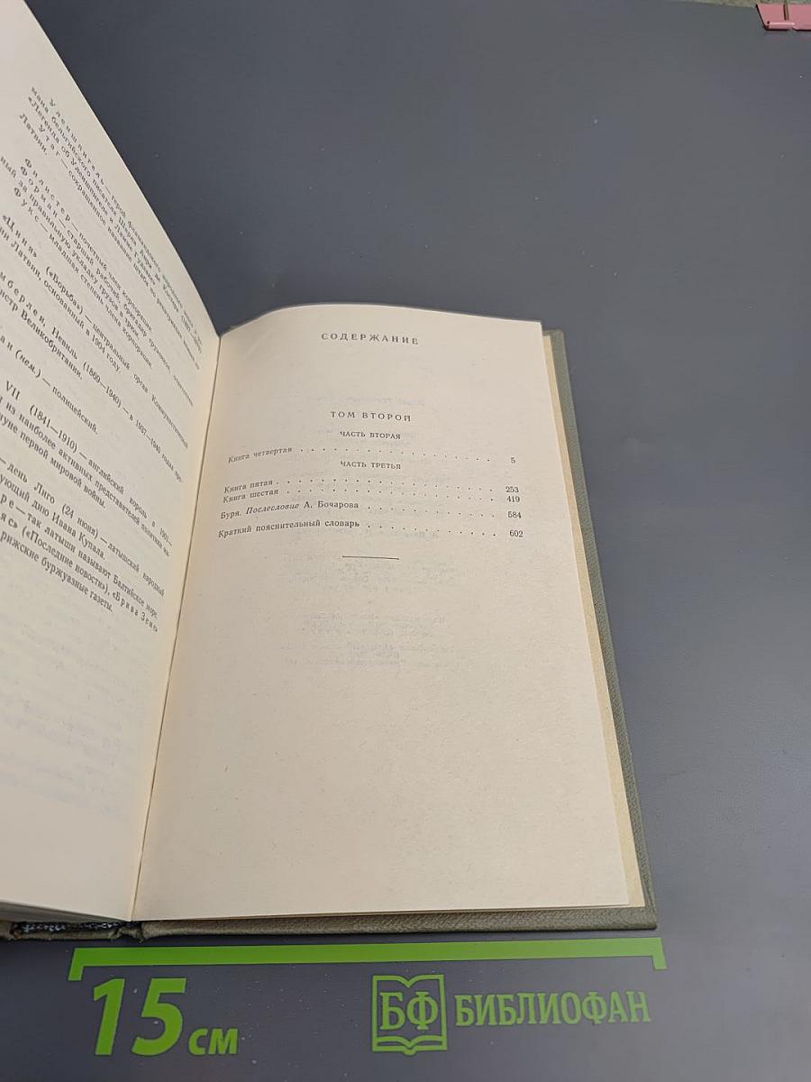 Буря. Том второй