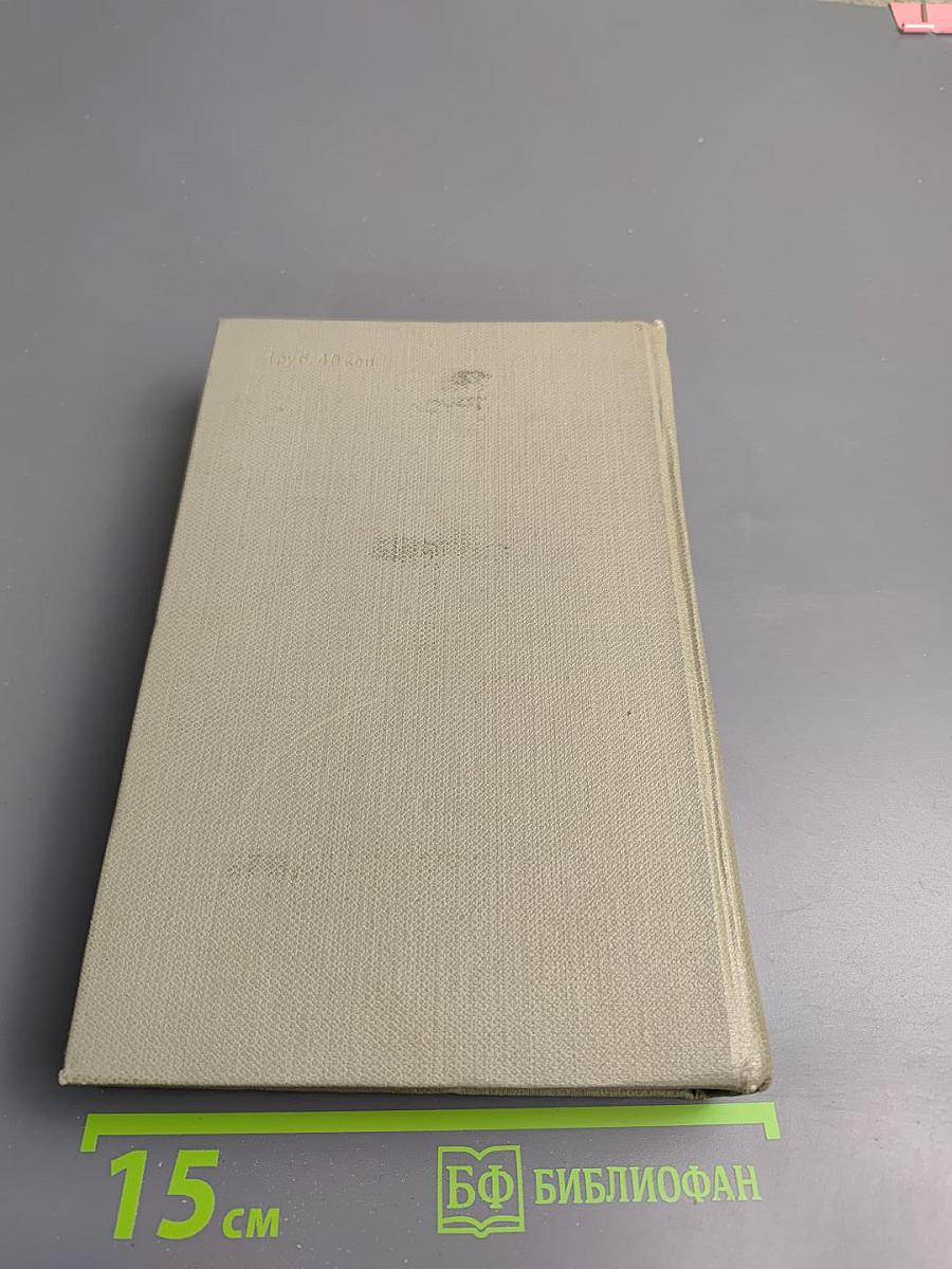 Буря. Том второй