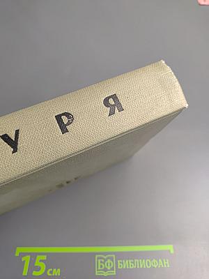 Буря. Том второй