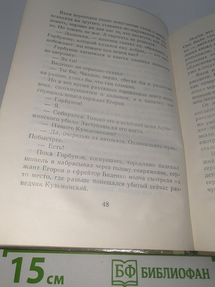 Сын полка