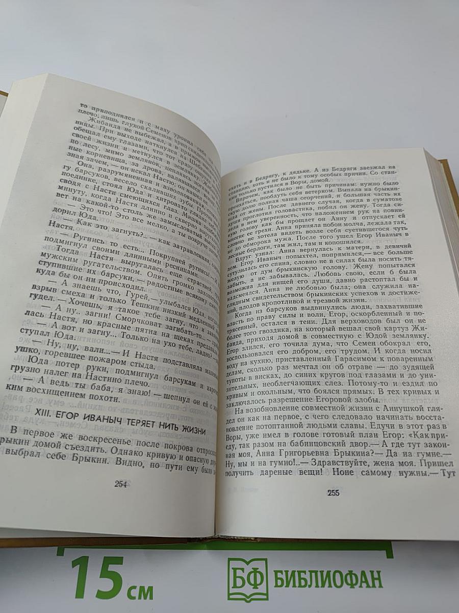 Барсуки. Сот