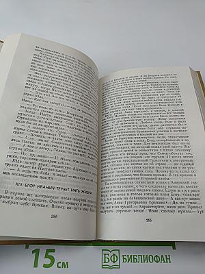 Барсуки. Сот