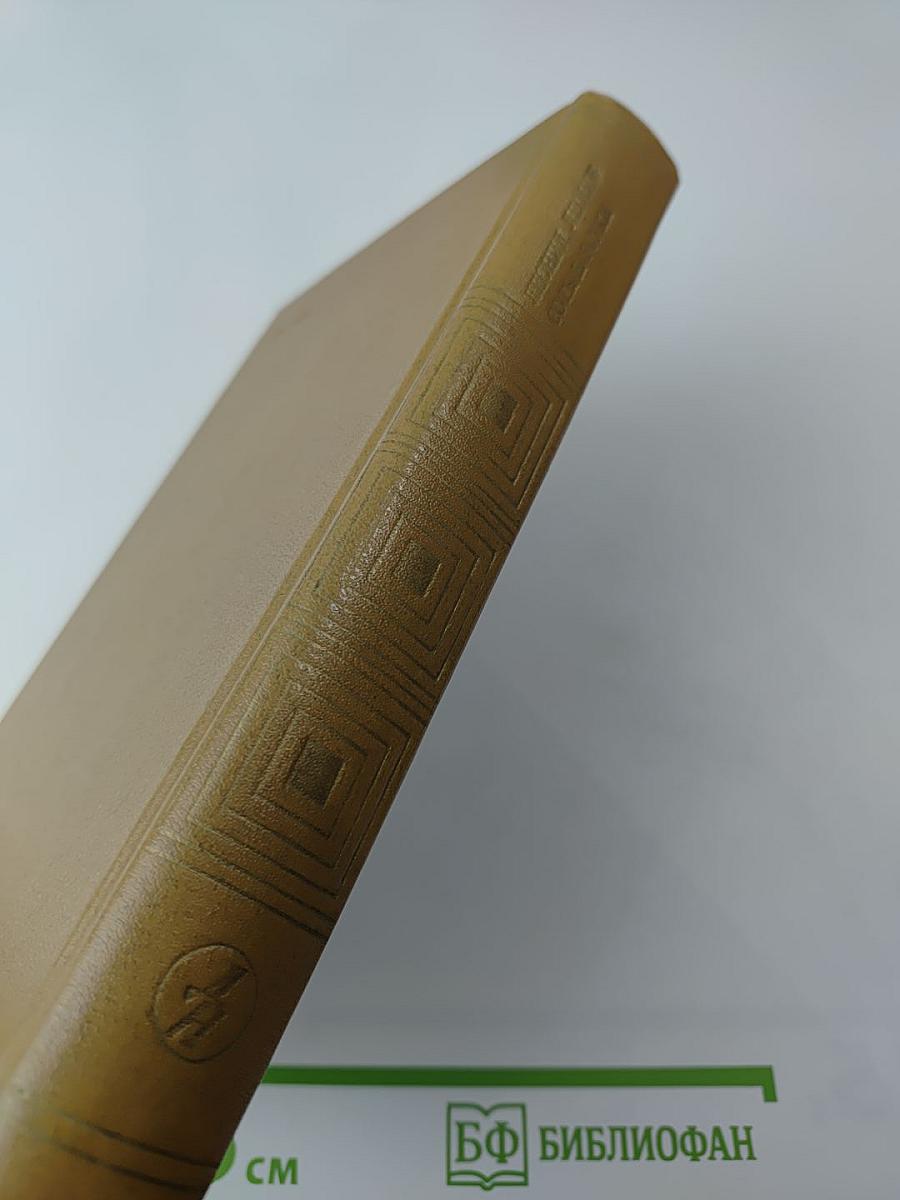 Барсуки. Сот